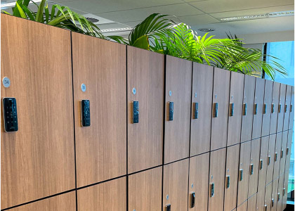 Office Lockers with plants behind